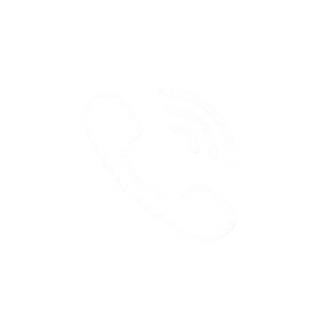 Phone icon